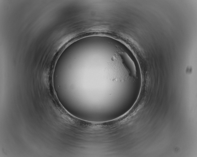 X0000094801162200711161451