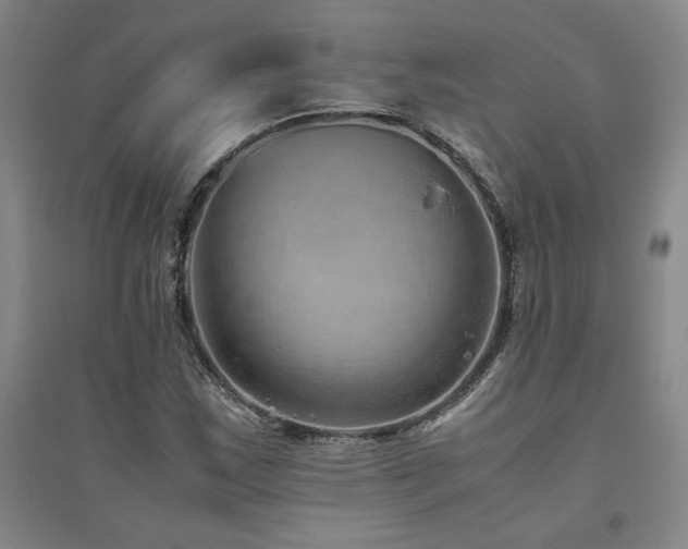 X0000094801163200711161451