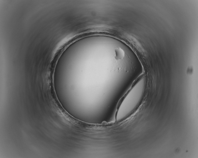 X0000094801164200711161451