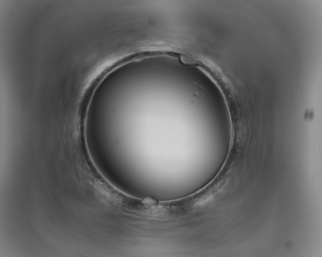X0000094801167200711161451
