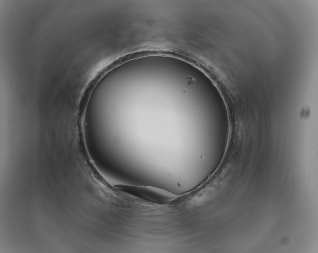 X0000094801168200711161451