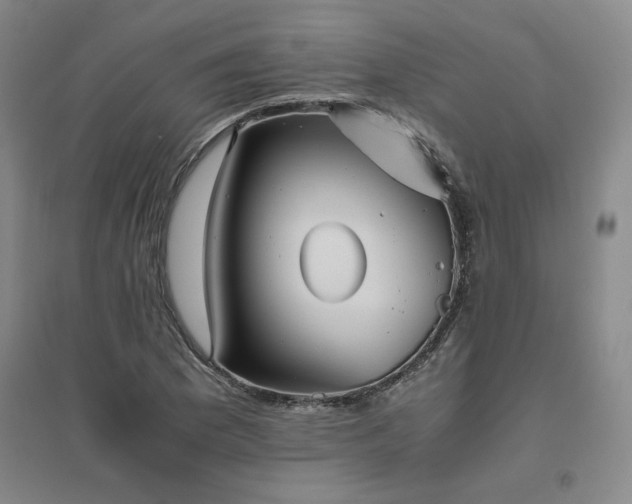 X0000094801169200711161451