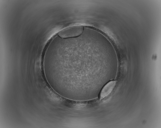 X0000094801173200711161450