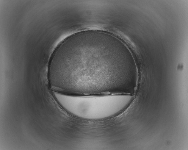 X0000094801174200711161450