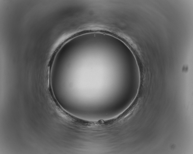 X0000094801175200711161450