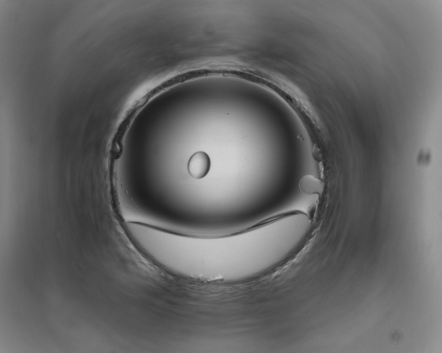 X0000094801176200711161450