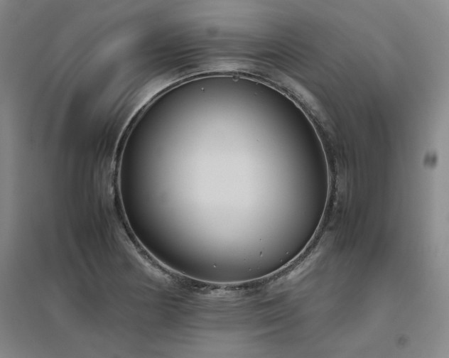 X0000094801178200711161450