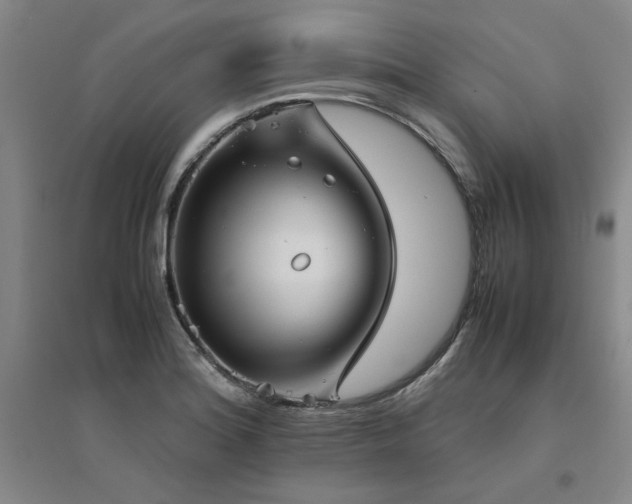 X0000094801180200711161450