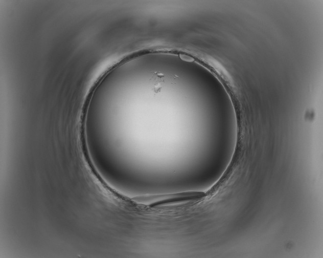 X0000094801183200711161450