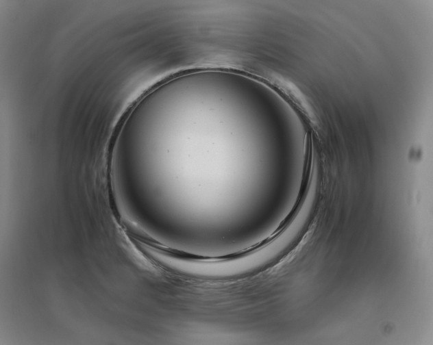 X0000094801184200711161450