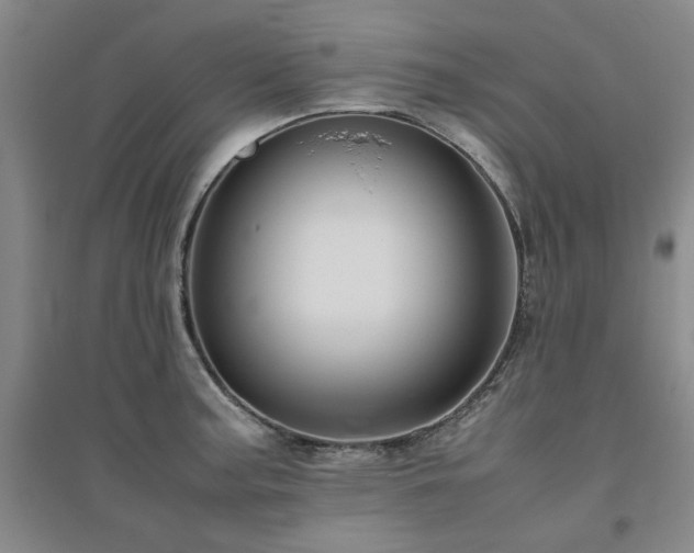 X0000094801187200711161450