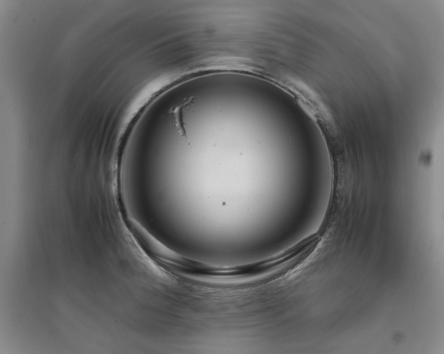 X0000094801188200711161450