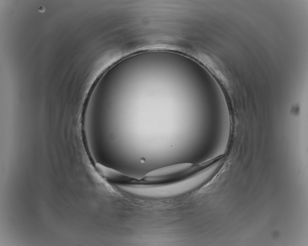 X0000094801189200711161450