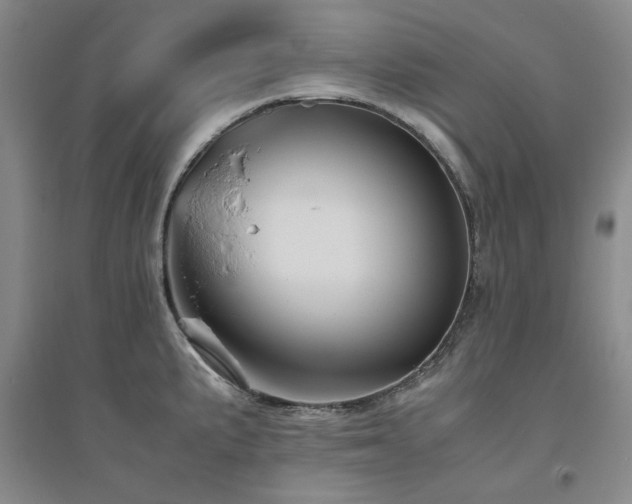 X0000094801191200711161450