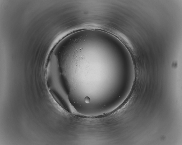 X0000094801192200711161450