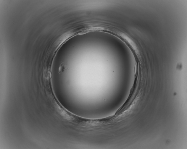 X0000094801193200711161450
