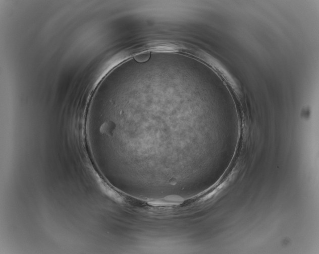 X0000094801194200711161450