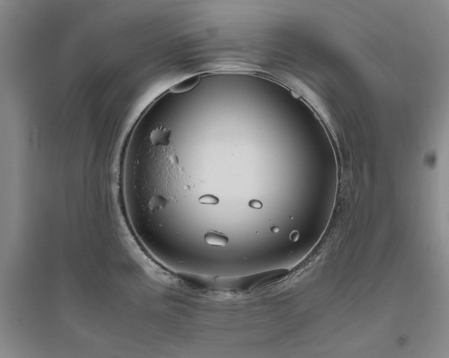 X0000094801195200711161450