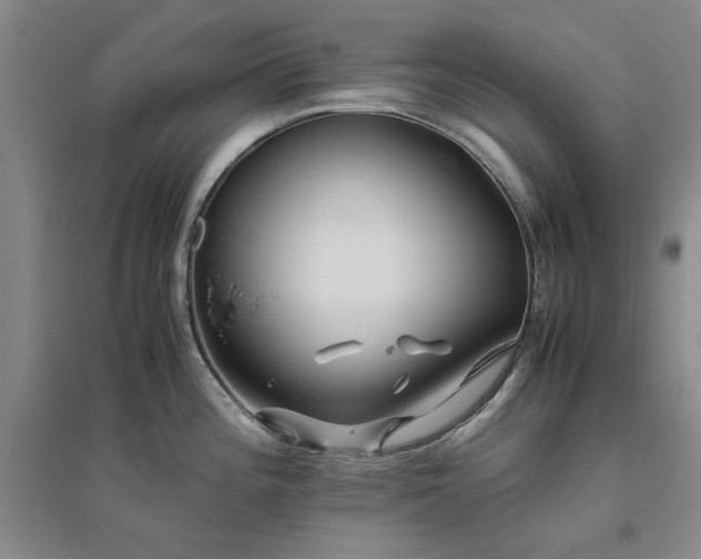 X0000094801196200711161450