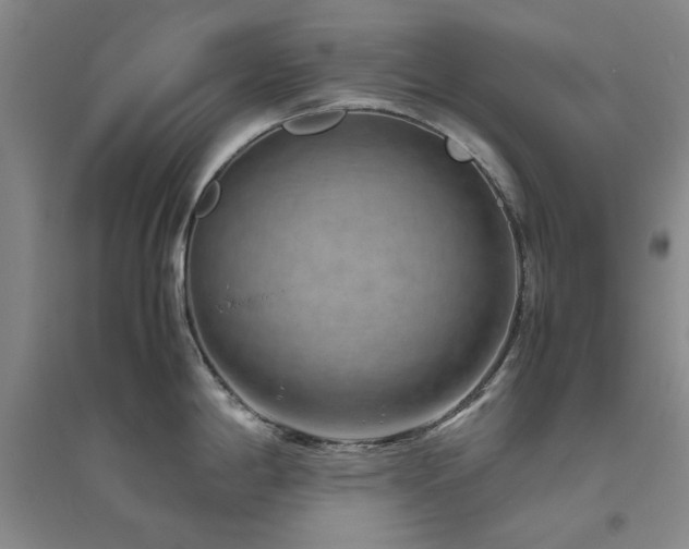 X0000094801198200711161450