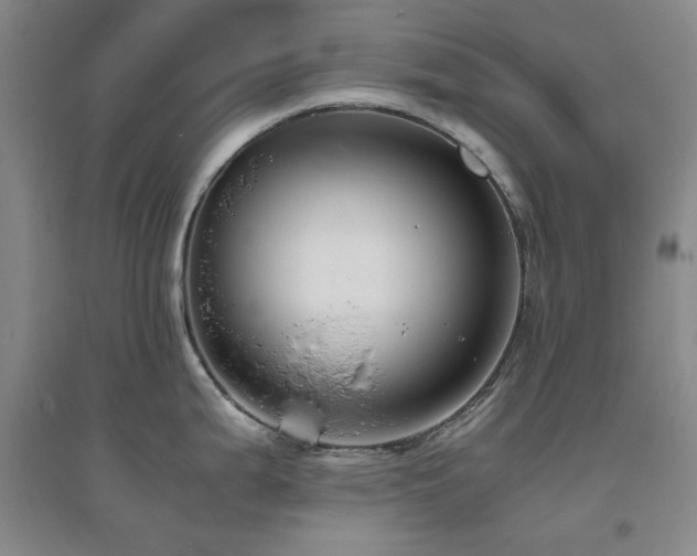 X0000094801199200711161450