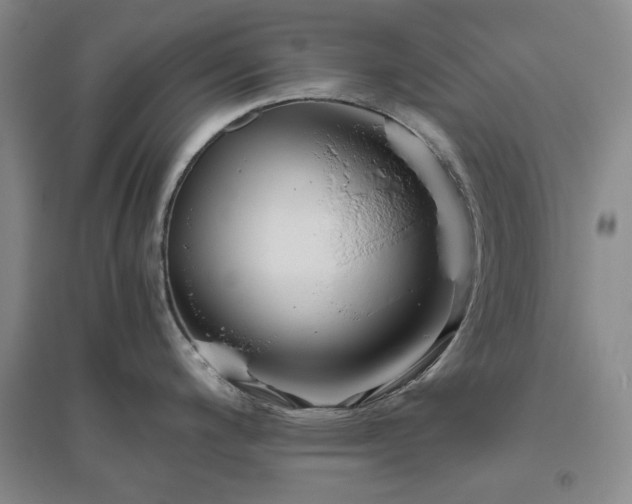 X0000094801200200711161450