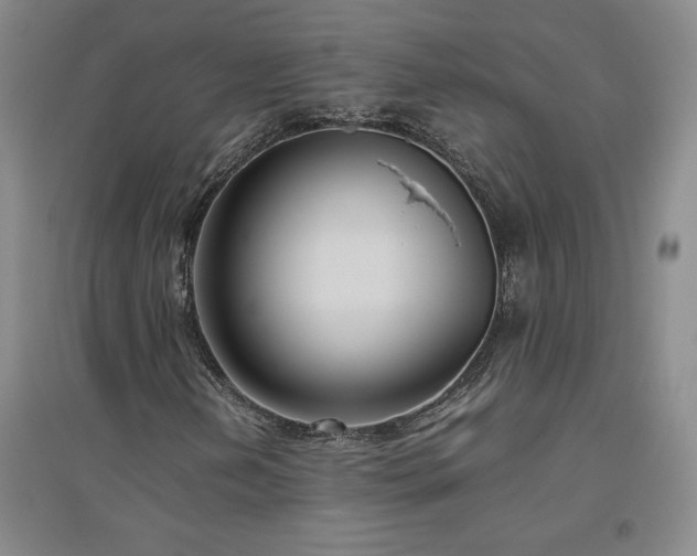 X0000094801202200711161449