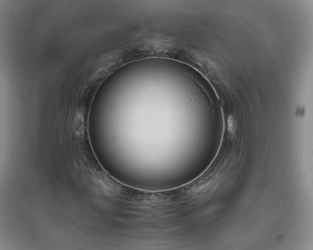 X0000094801203200711161449