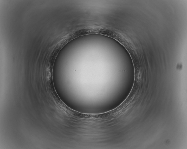 X0000094801204200711161449
