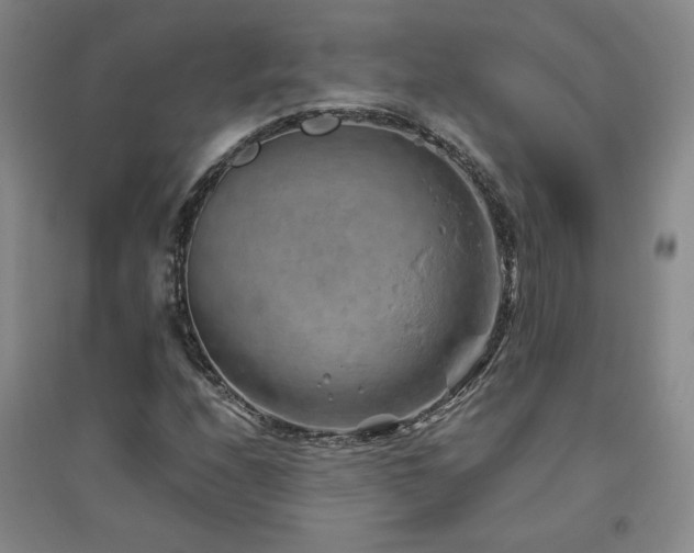 X0000094801208200711161449