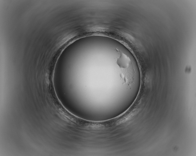 X0000094801209200711161449