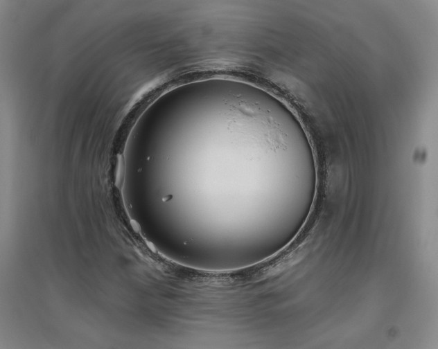X0000094801210200711161449