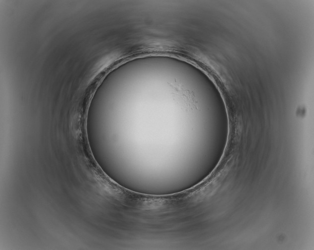 X0000094801211200711161449