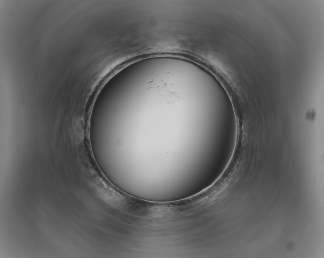 X0000094801212200711161449