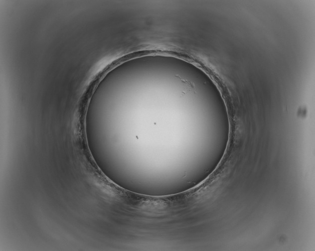 X0000094801215200711161449