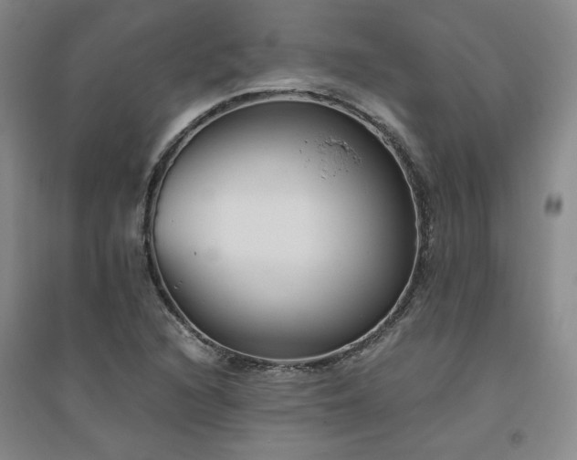 X0000094801216200711161449
