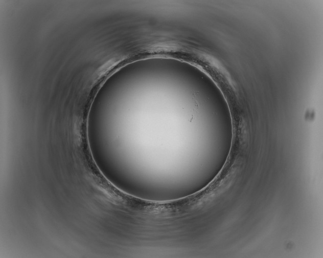 X0000094801217200711161450