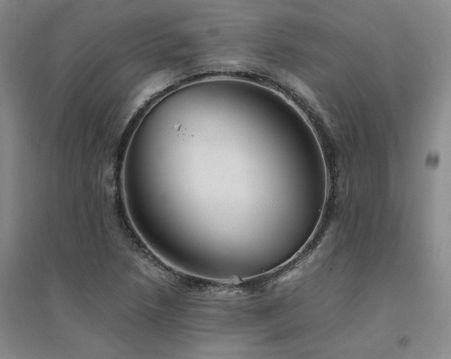 X0000094801218200711161450