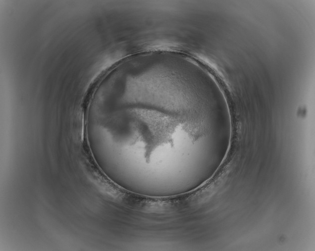 X0000094801219200711161450
