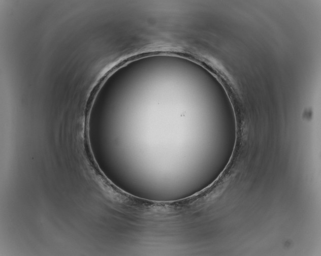 X0000094801220200711161450