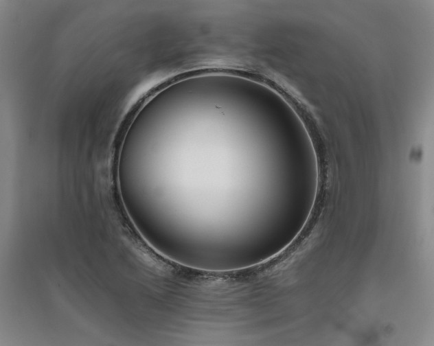X0000094801222200711161450