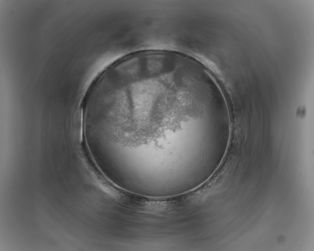 X0000094801223200711161450