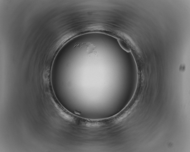 X0000094801225200711161450