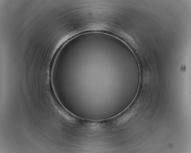 X0000094801226200711161450