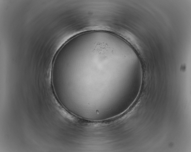 X0000094801228200711161450