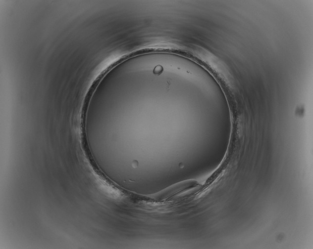 X0000094801229200711161450