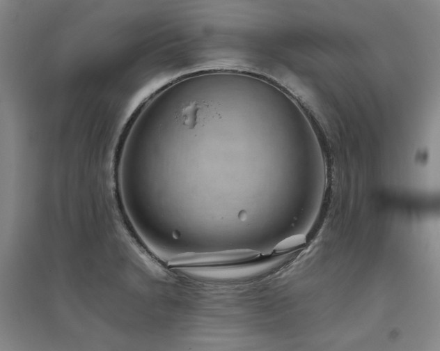 X0000094801230200711161450