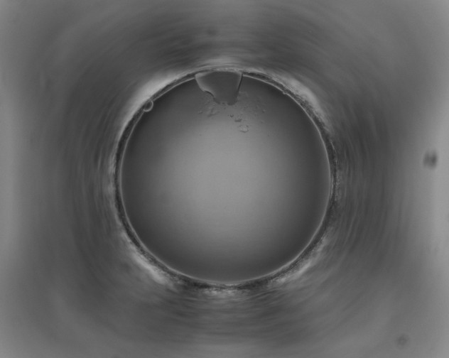X0000094801231200711161450