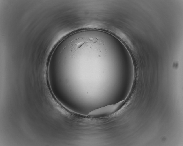 X0000094801232200711161450