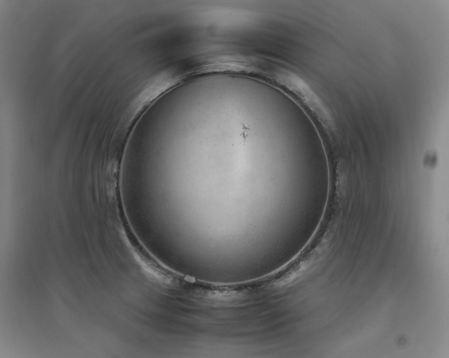 X0000094801233200711161450